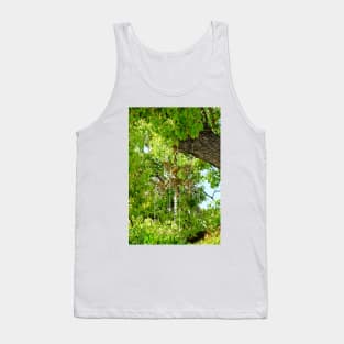 Chandelier Tree Study 3 Tank Top